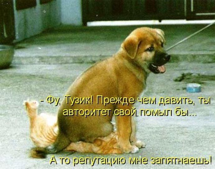 153 вы давггь гы звцй помыл бы _а А то гПгёіцию мне запятнаен ь