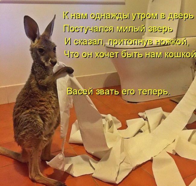 А К нам однакды утром дзарь Г Юстучапся милым зверь И сказал пришцёг і ской Что он ХОЧЖЗЫТ нажми