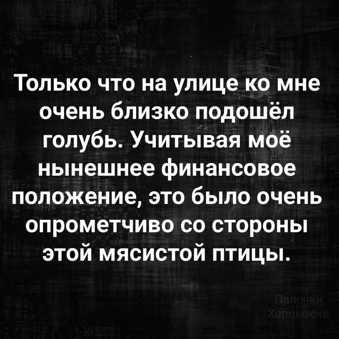 Только что на улице ко мне очень близко подошёл голубь Учитывая моё нынешнее финансовое положение это было очень опрометчиво со стороны этой мясистой птицы