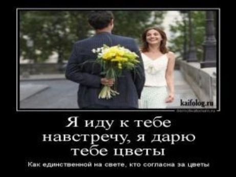 Я иду к тебе навстречу я дарю тебе цветы Кпк ницы жи и сш сын с