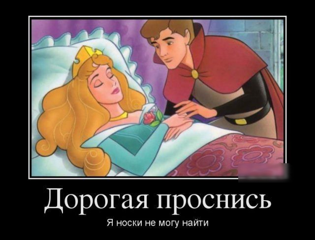д Дорогая проснись Я носки не могу найти