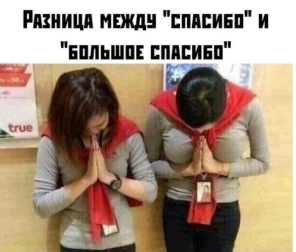 Риницп мшдн пппивп и нпльшпн пивипп