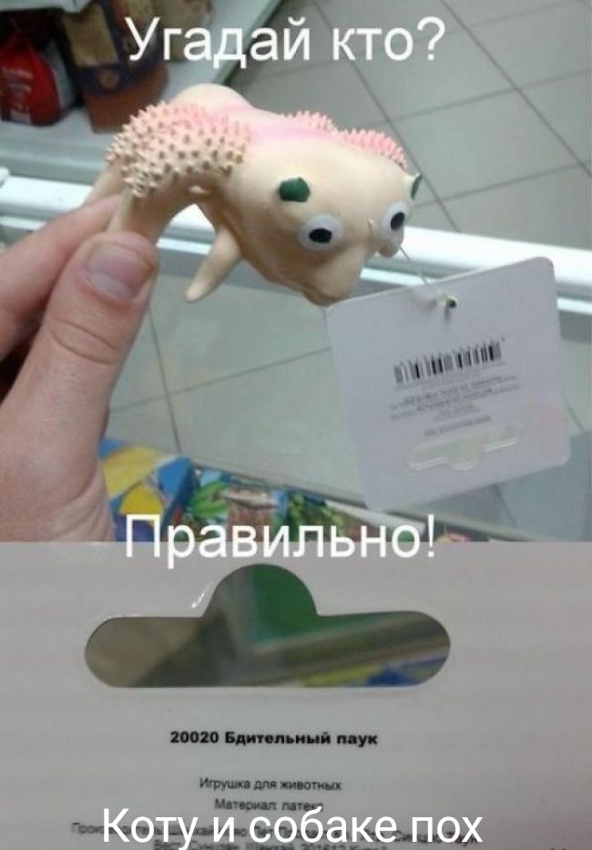 тт пук тттими _кч7_ч ътдил ьддаднц