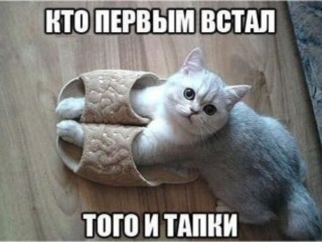 б_ того и мини