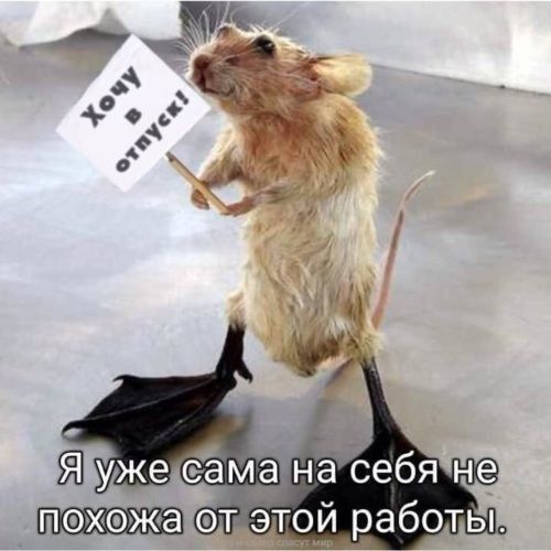 пэхэж а от этоу работы