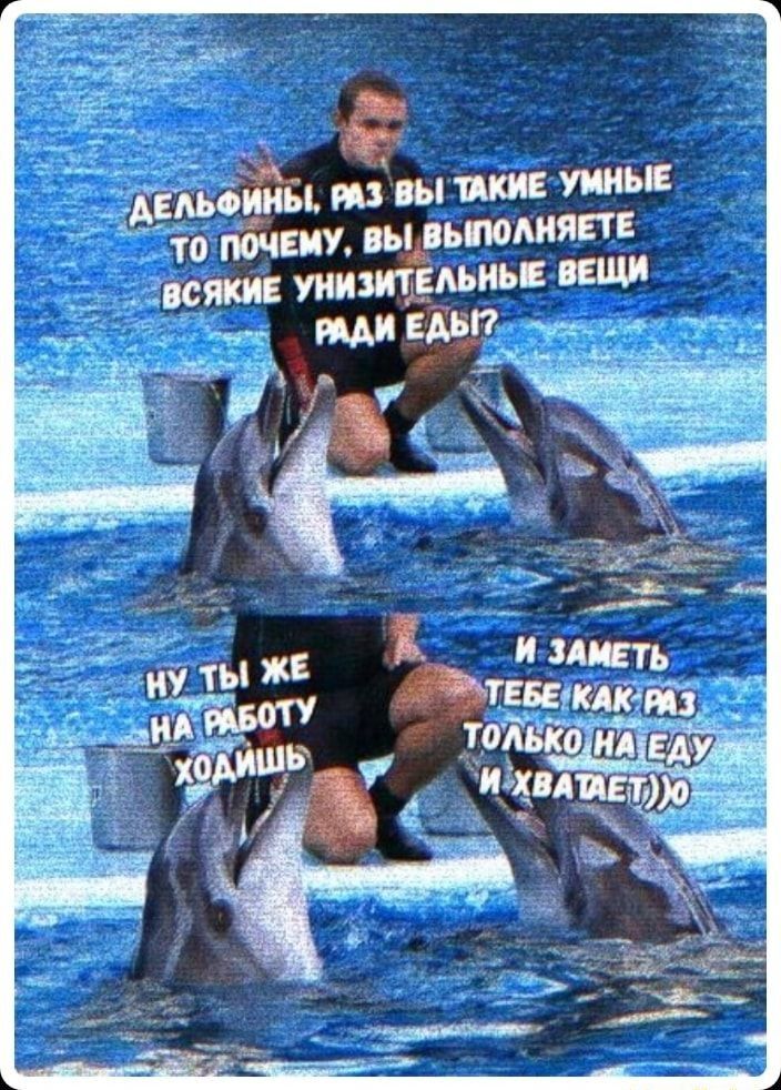 Д;дьёёбь раз вы такие умные ооо почему, вьдвьпомяп:  повсякие унизительные вещи са ради едь!? Оуе