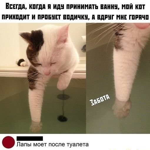 ВСЕГДА КШМ И Ид ПРИИИНПТЬ ШИН КПТ ПРШШдИТ И ПРПЕЦП ППДИЧКЦ П ПШШГ МНЕ ГПРПШ 34 _ Е _ апы моет после туалета