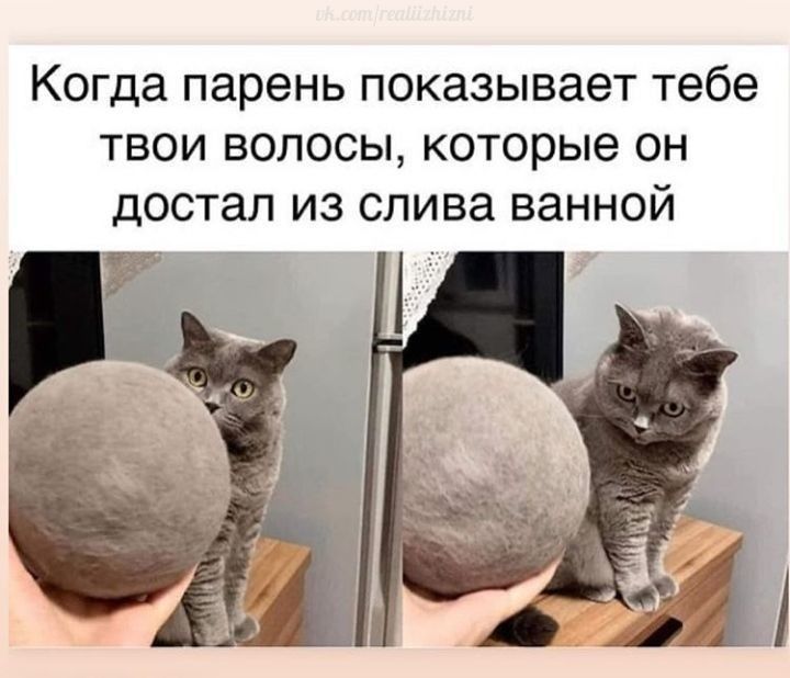 Когда парень показывает тебе твои волосы которые он достал из слива ванной 1