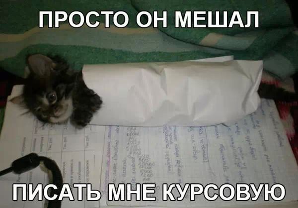 ПРОСТО ЧН МЕШАЛ ЬШПЁП