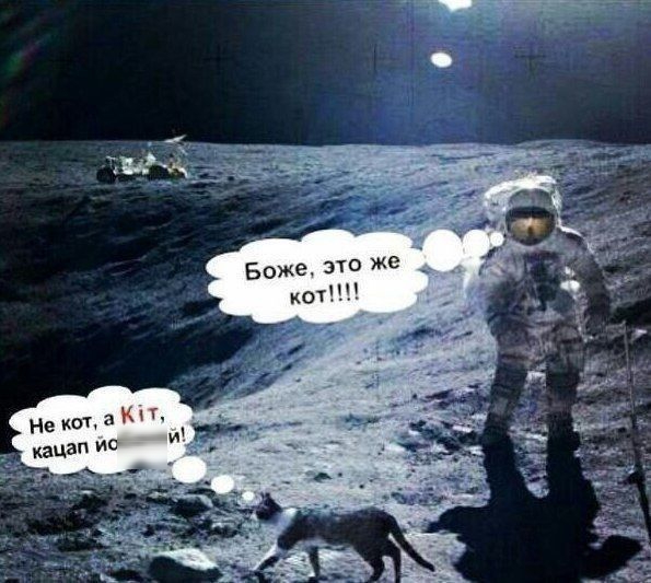 Боже, это же  кот!!!!
