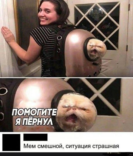 пщегитв я Ёжа Мем смешной ситуация страшная