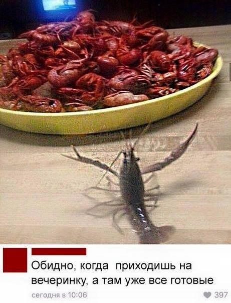 Обидно когда приходишь на вечеринку 3 Там уже все ГОТОВЫЕ