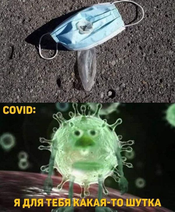 я дЪЁтввяі КАяттошуткд