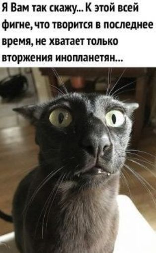 Я Вам так скажу К этой всей Фитечто творится в последнее время не хватает только вюржеиия инопланетян