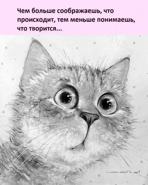 Чем больше соображаешь что происходит тем меньше понимаешь ЧТО творится