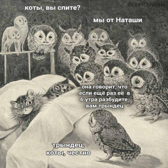 КОТЬі вы СПИТЕ мы от Наташи