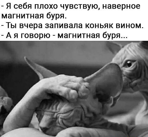 Я себя плохо чувствую наверное магнитная буря Ты вчера эапивала коньяк вином А я говорю магнитная буря