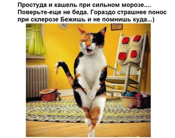Простуда и кашель при сильном морозе Поверьте еще не беда Гораздо страшнее понос при склерозе Бежишь и не помнишь куда