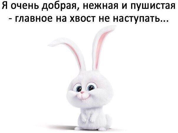 Я очень добрая нежная и пушистая главное на хвост не наступать со