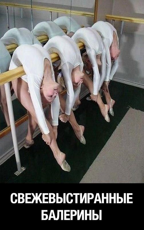 СВЕЖЕВЫСТИРАННЫЕ БАЛЕРИНЫ