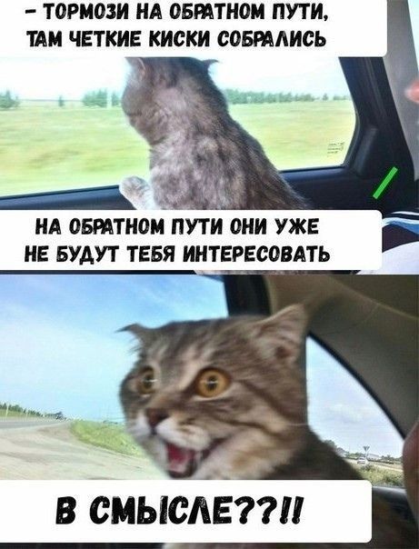 ТОРМОЗИ НА ОБШТНШ ПУТИ ТАМ ЧЕТКИЕ КИСКИ сошлись НА овттном пути они УЖЕ не БУДУТ ТЕБЯ иитнрвсовлть ч в синий 377