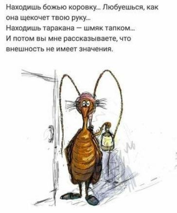 Нвхцпишь божью корону Любуешьсл как она щекочет тою руку Находить таракана шмяк пиком и вы мн рассказываем что внешность не имеет значения