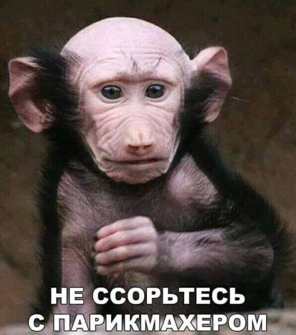 іі тз ссорьтвсь с пдрикмщиёрщмч