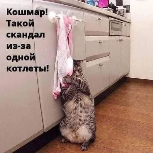 Кошмар Такой скандал ив за диЙ котлеты 3