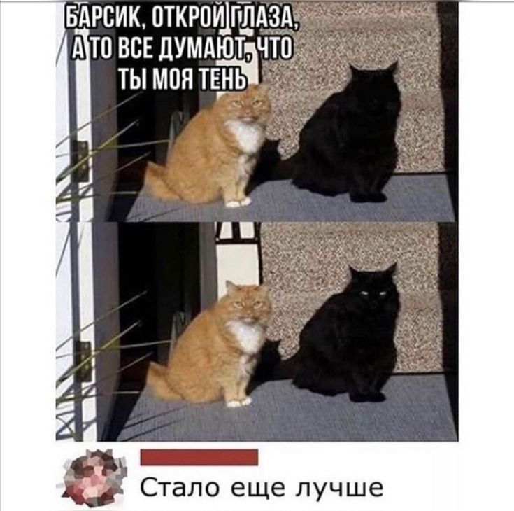 БАРВИК ПТКРОЩГЛАЗА А ТП ВСЕ ДУМАЮТ ЧТО ТЫ МОН ТЕНЬ