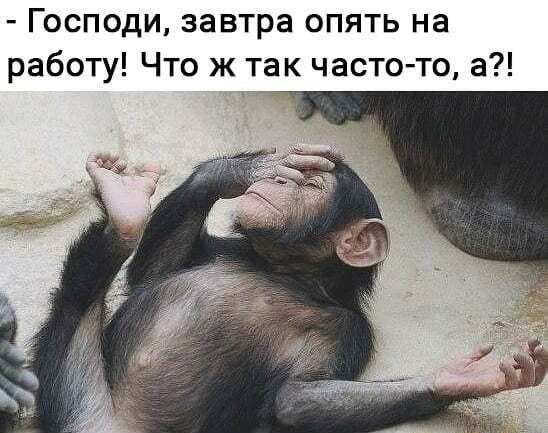 Господи завтра опять на работу Что ж так часто то а