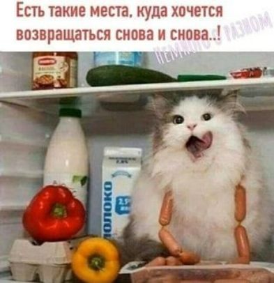 ЕСТЬ ТЗ Э МЕСТА НУЦ ХОЧЕТСЯ ВОЗПрЕЩЭТЬСП 631032 Н СНПГПЁ