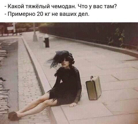 _ Какой тяжёлый чемодан Что у вас там Примерно 20 кг не ваших дел