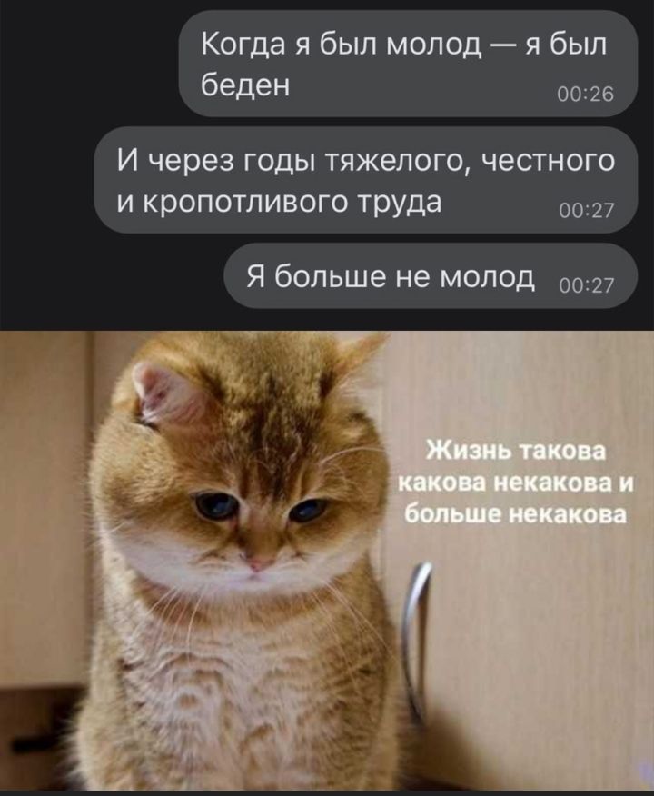 Когда я был молод я был беден 0026 И через годы тяжелого честного и кропотливого труда Я больше не молод 0027