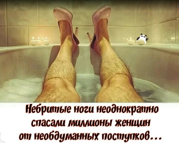 Небршпые нога неоднократю спасали тюлень женщин от необдуманных потупив