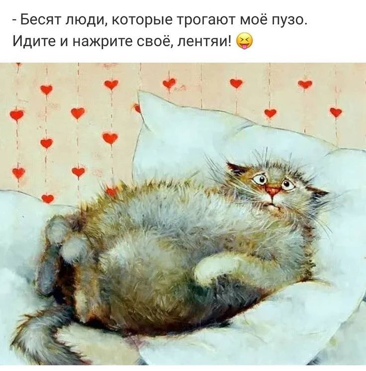 Бесят люди которые трогают моё пузо Идите и нажрите своё лентяи