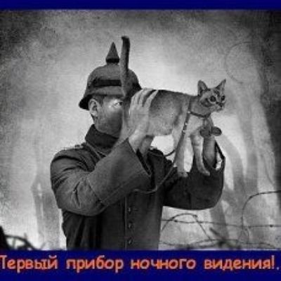 Р бор ночного вид,