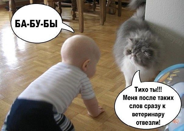 Меня после гаких слон сразу к ветеринару отвезли