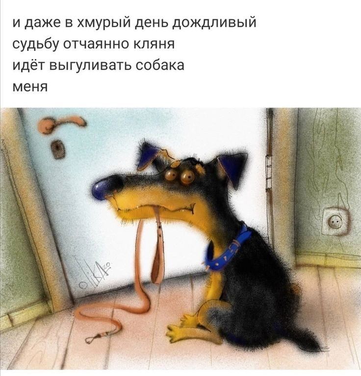 и даже в хмурый день дождливый судьбу отчаянно кляня идёт выгуливать собака меня