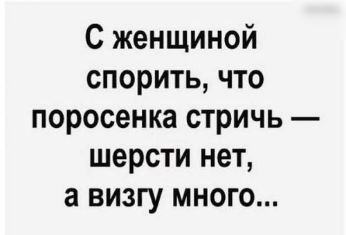 С женщиной спорить что поросенка стричь шерсти нет а визгу много