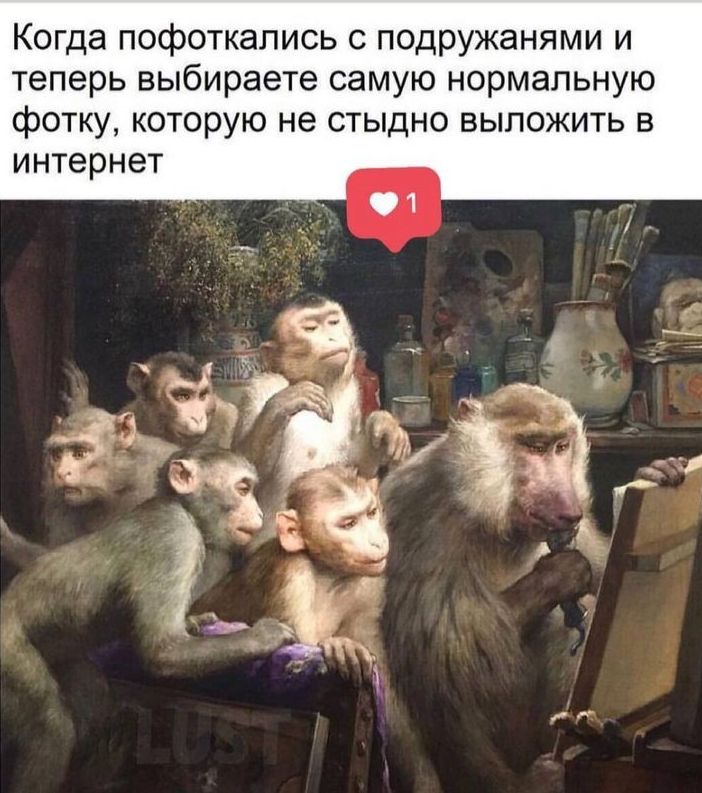 Когда пофоткапись с подружанями и теперь выбираете самую нормальную фотку которую не стыдно выложить в интернет