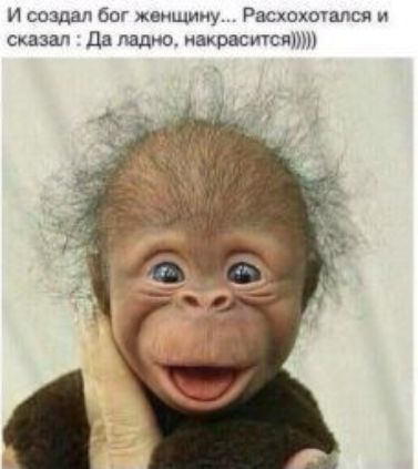 И создал 60 женщину Рмхохымсч и сказал Ца ладна акоаситсдтп