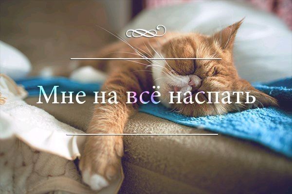Мне на всё Нас ть кц