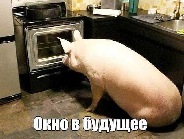 Онно вшщущеб