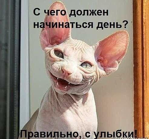 С чего должен нфинаться день