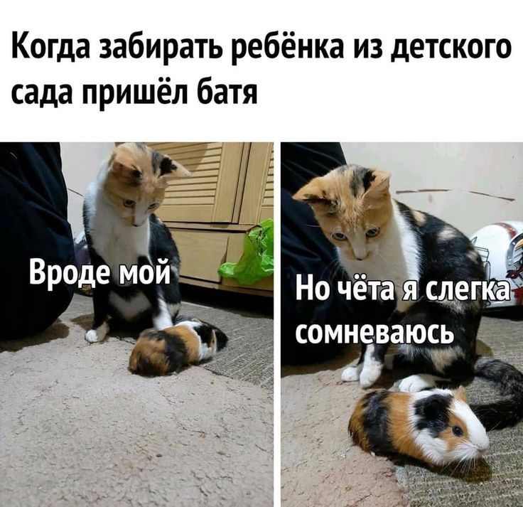 Когда забирать ребёнка из детского сада пришёл батя