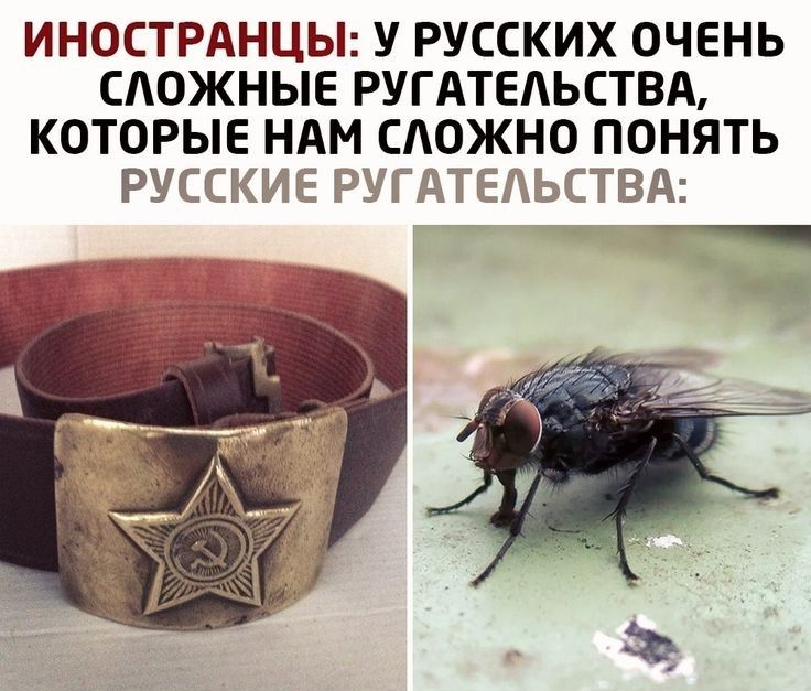 ИНОСТРАНЦЫ У РУССКИХ ОЧЕНЬ СЛОЖНЫЕ РУГАТЕАЬСТВА КОТОРЫЕ НАМ СЛОЖНО ПОНЯТЬ РУСЁРЁДГИБЁЗЁі ГЗ С _ ПА