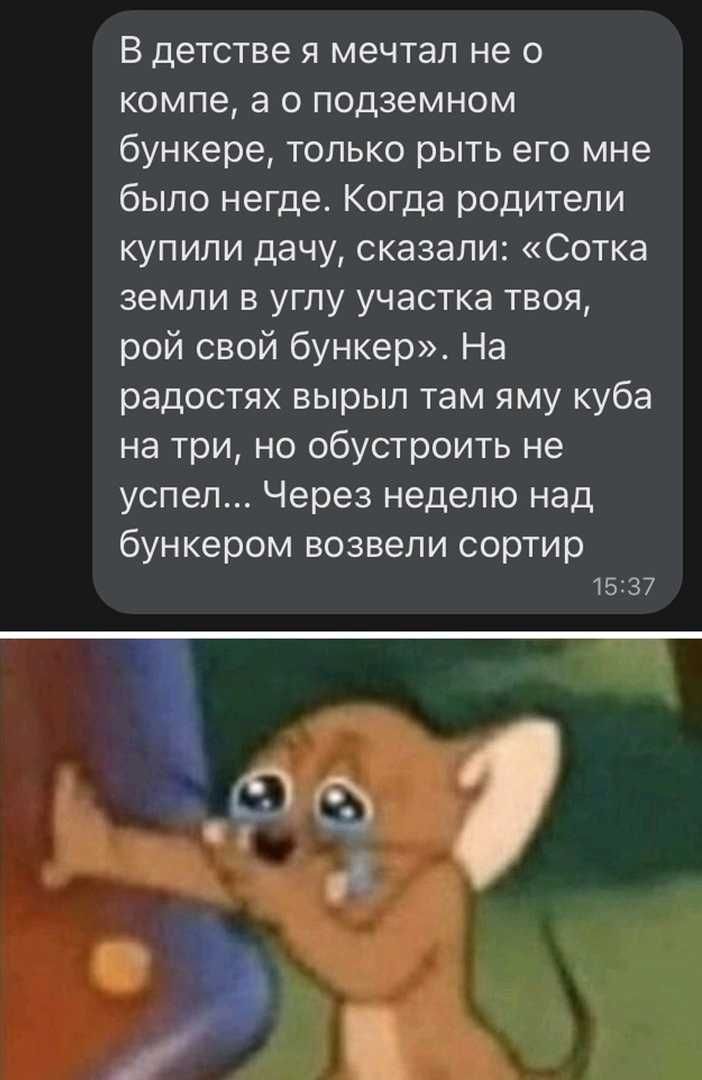 В детстве я мечтал не о компе а о подземном бункере только рыть его мне было негде Когда родители купили дачу сказали Сотка земли в углу участка твоя рой свой бункер На радостях вырыл там яму куба на три но обустроить не успел Через неделю над бункером возвели сортир 15137