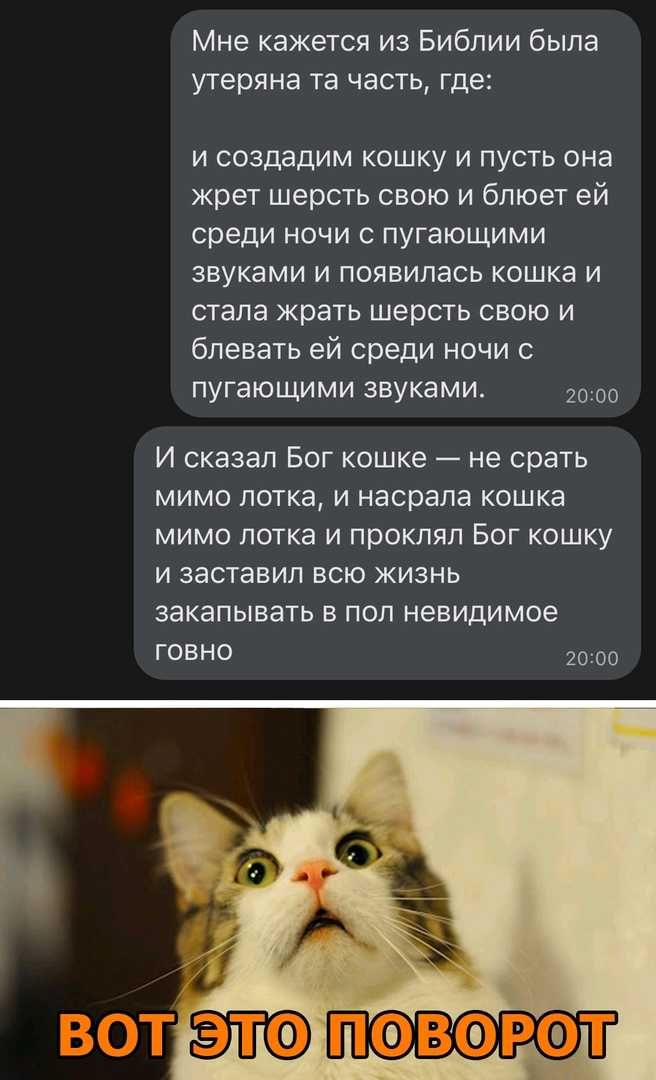 Мне кажется из Библии была утеряна та часть где и создадим кошку и пусть она жрет шерсть свою и блюет ей среди ночи с пугающими звуками и появилась кошка и стала жрать шерсть свою и блевать ей среди ночи с пугающими звуками 2000 И сказал Бог кошке не срать мимо лотка и насрала кошка мимо лотка и проклял Бог кошку и заставил всю жизнь закапывать в пол невидимое говно 2000