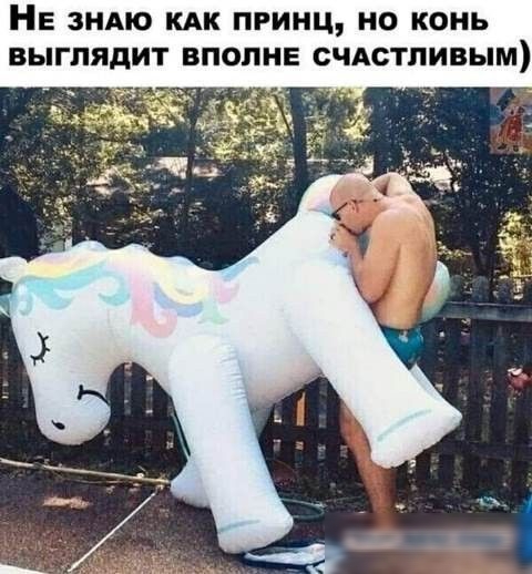 НЕ ЗНАЮ КАК ПРИНЦ НО КОНЬ ВЫГПЯДИТ ВПОПНЕ СЧАСТЛИВЫМ