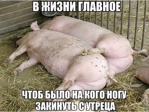 В жизни главное ;